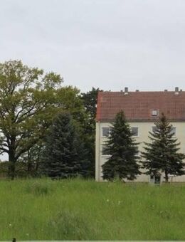 MFH mit Potenzial in Altenburg, Nähe Herrenhaus in Grünlage mit vielen Stellplätzen - Altenburg
