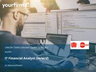 IT Financial Analyst (m/w/d) - Kleinostheim