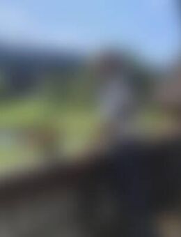 Wil*** - Wald-Michelbach