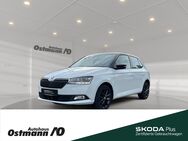 Skoda Fabia, Style 70kw, Jahr 2020 - Niestetal