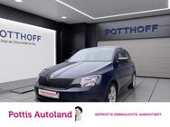 Skoda Fabia, 1.0 MPI Cool Edition Climatic, Jahr 2017 - Hamm