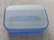 Tupperware Swingbox 350ml K9 - Löbau