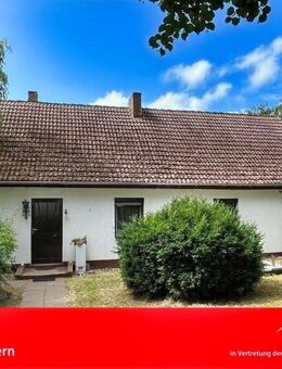 Landhaus zwischen Feld und Küste - Usedom