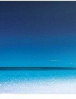Reinders! Poster Palme am Strand, (1 St)