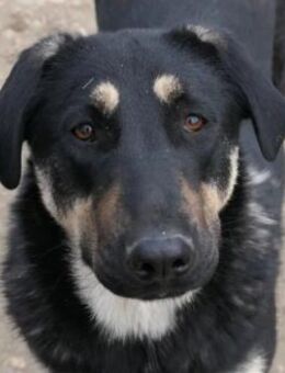 Lebensfrohe, liebe Fanta - Kallmünz