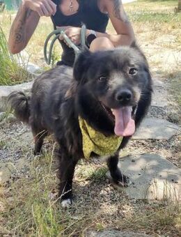 Soziale JESSIE = bereit für ihr Glück ♥️ - München