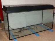 Aquarium 200l - Dassel