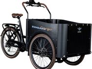 Zündapp E-Bike Lastenrad Cargo C2426, 7 Gang Shimano, Kettenschaltung, Heckmotor, 576 Wh, Pedelec, Elektrofahrrad für Damen u. Herren