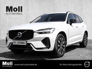 Volvo XC60, Plus Dark B4 Diesel EU6d digitales Sitze HarmanKardon, Jahr 2023 - Düren