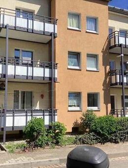 Wohnen unter Platanen, frisch Renovierte 3-Zimmer-Wohnung - Wiesbaden