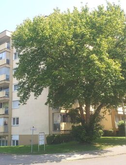 Modernes teilmöbliertes Apartment in Top-Wohnlage mit moderner Einbauküche und Balkon! - Nürnberg