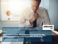 Kaufmännischer Mitarbeiter (m/w/d) für die Lohnbuchhaltung und Finanzbuchhaltung - Bietigheim-Bissingen