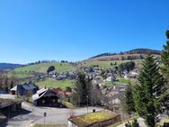 3-Zi.-Ferienwohnung in Todtnauberg Residenz Schauinsland - Todtnau