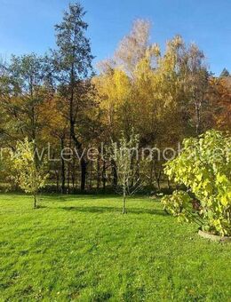 Charmante Hofstelle mit viel Potenzial & traumhaftem Grundstück - Winzer