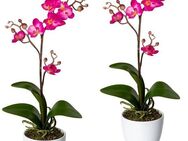 Kunstpflanze Orchidee Phalaenopsis Orchidee, Creativ green, Höhe 55 cm, im Keramiktopf