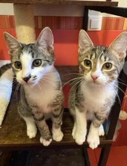 Bambu & Dalia ein liebenswürdiges Team - Unterföhring