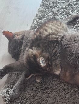 Mama und Baby - Bad Endbach