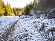 Draußen frostig, drinnen gemütlich - Freie Sonderplanung - Oer-Erkenschwick