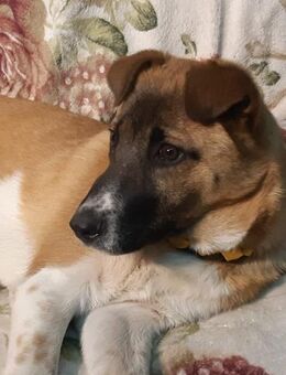 Flora - Mönchengladbach