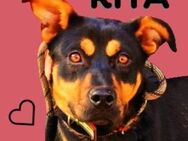 RITA soll endlich glück werden - Gefrees