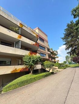 Renovierungsbedürftige 1,5 Zimmer-Wohnung in Eriskirch nahe dem Bodenseeufer - Eriskirch