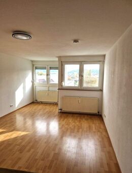 leerstehende 1-Zimmer-Wohnung / Provisionsfrei - Lahr (Schwarzwald)