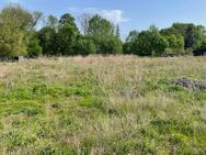 Baugrundstück in Wunschgröße - Verwirklichen Sie Ihren Traum vom Eigenheim in ländlicher Idylle - Wusterhausen (Dosse)