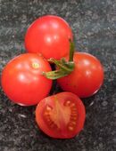 Balkonzauber rot - Buschtomate in 70569