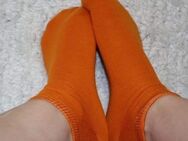Getragene Socken einer Studentin - Zweibrücken