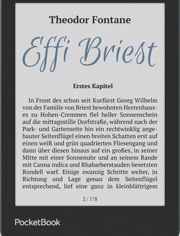PocketBook Verse Pro Color - DACH-Version E-Book (6", 16 GB, Linux)
