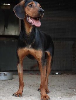 Pray ist endlich soweit! - Oberhausen