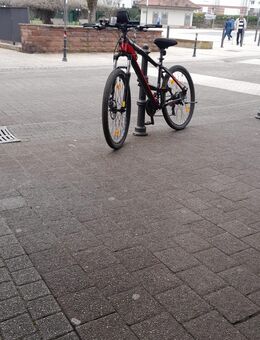 E bike zu verkaufen - Jossgrund