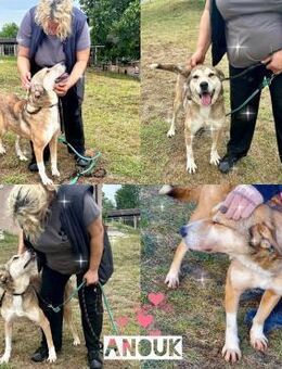 Vergessen hinter Gittern = unsere ANOUK♥ - München