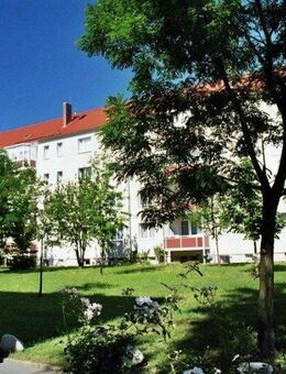 Ruhig und Grün-Auf den Höhen - Thale