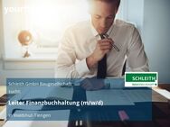 Leiter Finanzbuchhaltung (m/w/d) - Waldshut-Tiengen