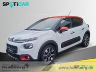 Citroën C3, 1.2 110 Shine Stop, Jahr 2019 - Bad Driburg