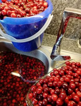 Selbstgemachte Marmelade und Gelee zum aussuchen - Lindern (Oldenburg)