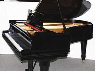 Flügel Klavier Grotrian-Steinweg 185, Nr. 31280, schwarz poliert, 5 Jahre Garantie - Egestorf