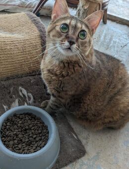 Tifi - Notfall - Blind - Bochum