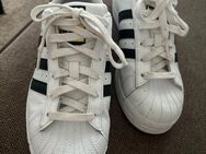 Adidas Superstar, Sneaker, Schuhe, Sportschuhe - Duisburg