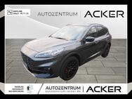 Ford Kuga, 2.5 Duratec ST-Line X, Jahr 2023 - Bad Berleburg