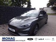 Ford Focus, 2.0 ST EcoBlue EU6d-T AD El Panodach, Jahr 2019 - Gelsenkirchen