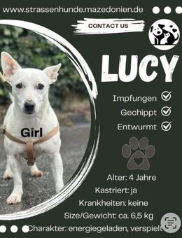 Die liebe Lucy sucht ihr Zuhause - Ovelgönne