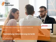 Teamleitung Versicherung (m/w/d) - Schweinfurt