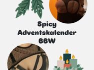 Online Spicy Adventskalender junge BBW - Magdeburg