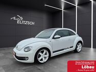 VW Beetle, Allstar, Jahr 2016 - Kamenz