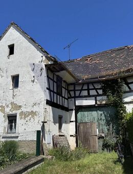 PROVISIONSFREI* - Nur für Unerschrockene ... Resthof zum halben Grundstückspreis! - Gera