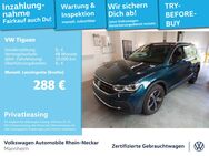 VW Tiguan, 2.0 TDI Move Gar 2029, Jahr 2024 - Mannheim