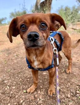 Yasu kleiner Sonnenschein - Völklingen