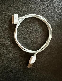 Apple 30-polig auf USB Kabel Original Apple Kabel - Kaiseraugst